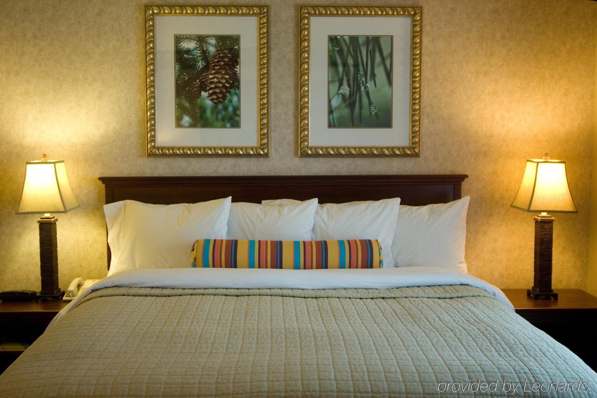 Phoenix Inn Suites Albany Quarto foto